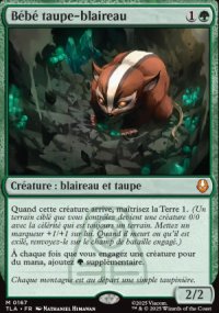 B�b� taupe-blaireau - Avatar: The Last Airbender