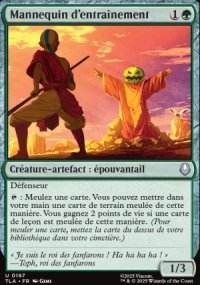 Mannequin d'entra�nement - Avatar: The Last Airbender