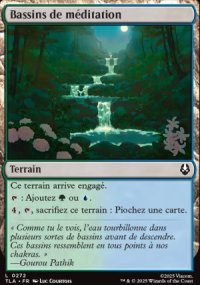 Bassins de m�ditation - Avatar: The Last Airbender