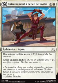 Entra�nement � l'�p�e de Sokka - Avatar: The Last Airbender Eternal-Legal