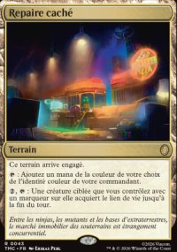 Repaire cach� - Teenage Mutant Ninja Turtles Eternal Legal