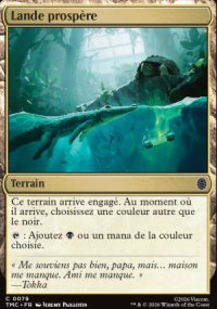 Lande prosp�re - Teenage Mutant Ninja Turtles Eternal Legal