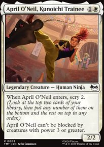 April O'Neil, Kunoichi Trainee - Teenage Mutant Ninja Turtles