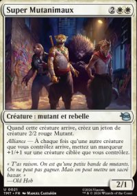 Super Mutanimaux - Teenage Mutant Ninja Turtles