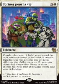 Tortues pour la vie - Teenage Mutant Ninja Turtles