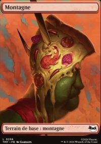 Montagne - Teenage Mutant Ninja Turtles