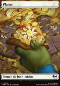 Plaine - Teenage Mutant Ninja Turtles